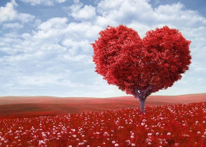 svetovni dan srca 25